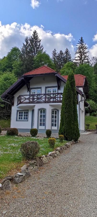 Casa Banucu Βίλα Satu Mare  Εξωτερικό φωτογραφία